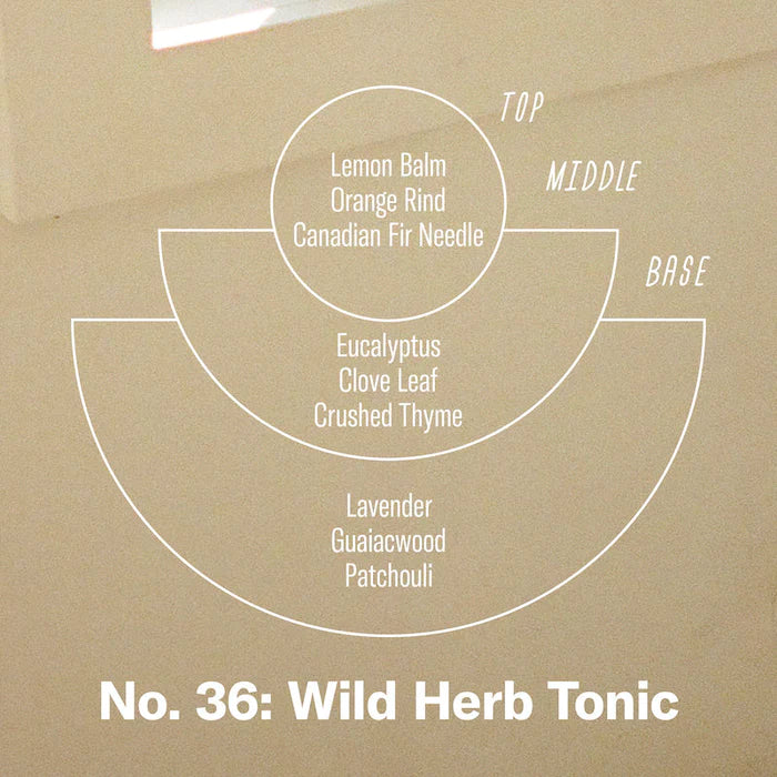 Standard Candle ( 7.2 oz) Wild Herb Tonic