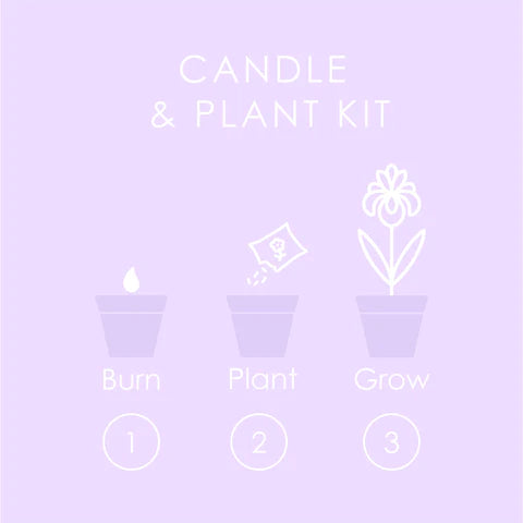 《超神經械劫案下》盆栽蠟燭