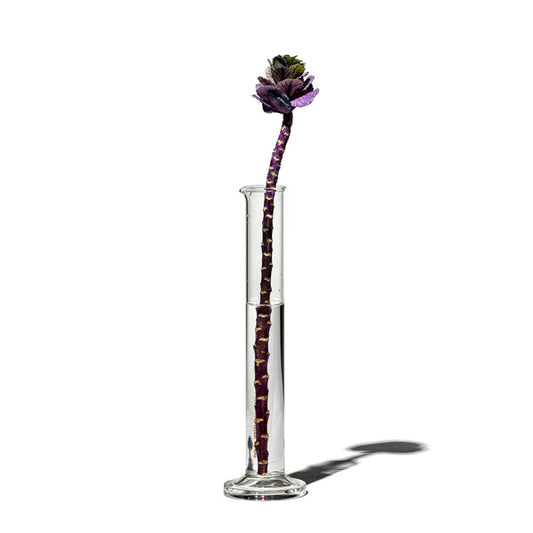 Single Flower Vase / 100ml 玻璃花瓶