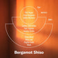 Bergamot Shiso – 7.2 oz Soy Candle
