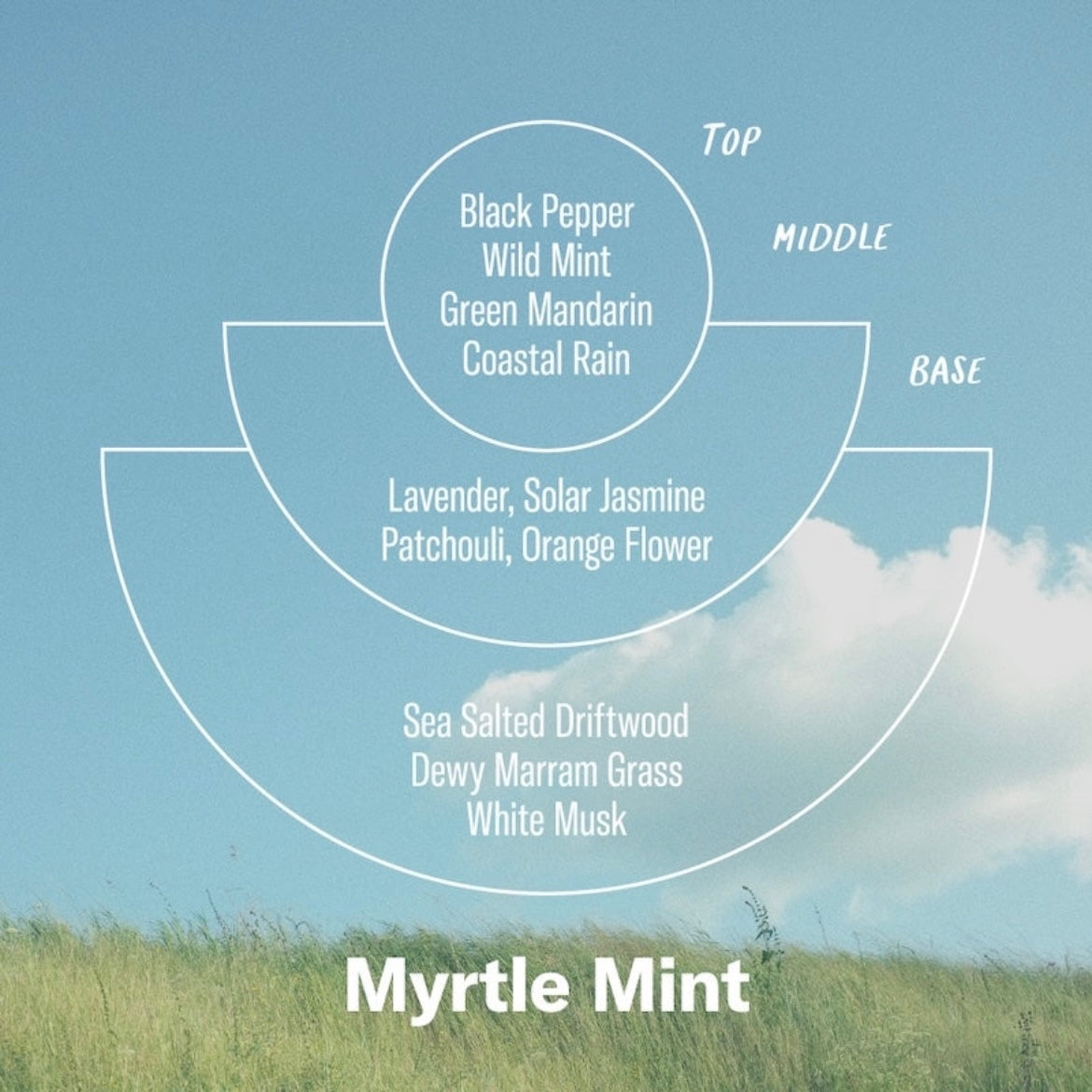 Myrtle Mint – 7.2 oz Soy Candle