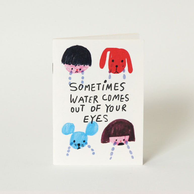 Mini Book | Sometimes Water Comes out of your Eyes Storybook 眼淚小書