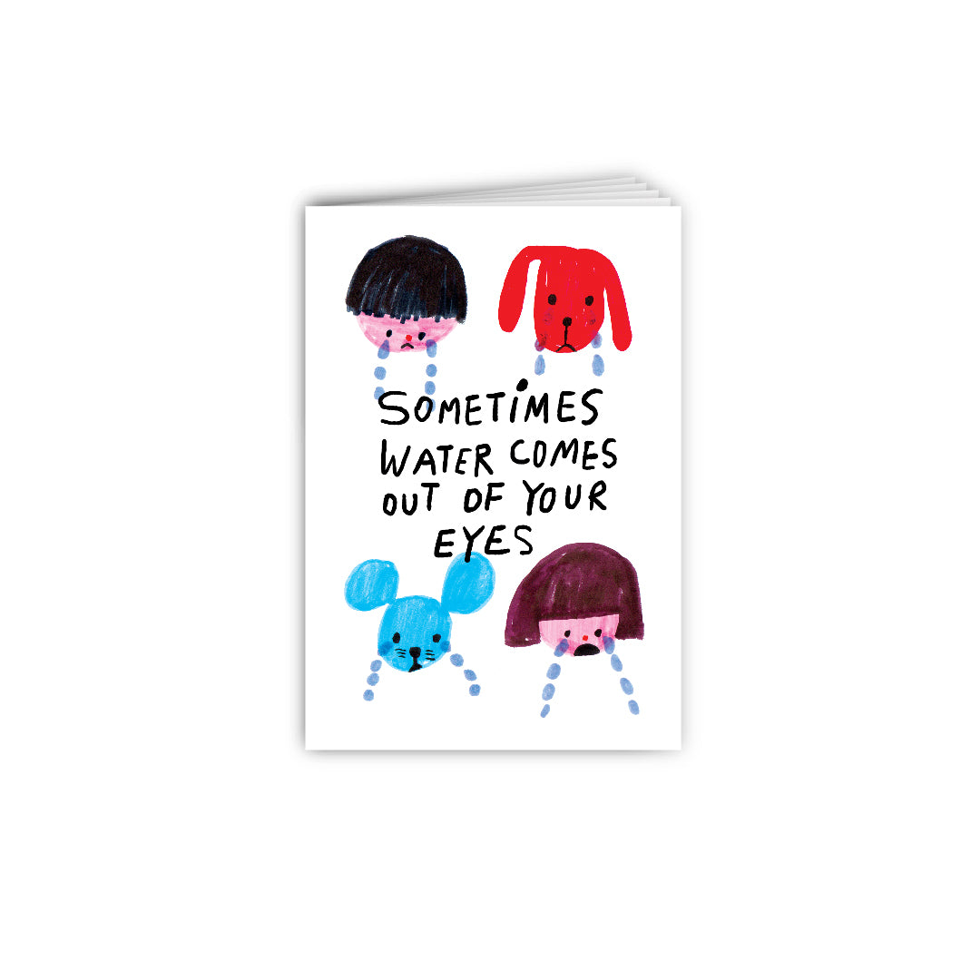 Mini Book | Sometimes Water Comes out of your Eyes Storybook 眼淚小書