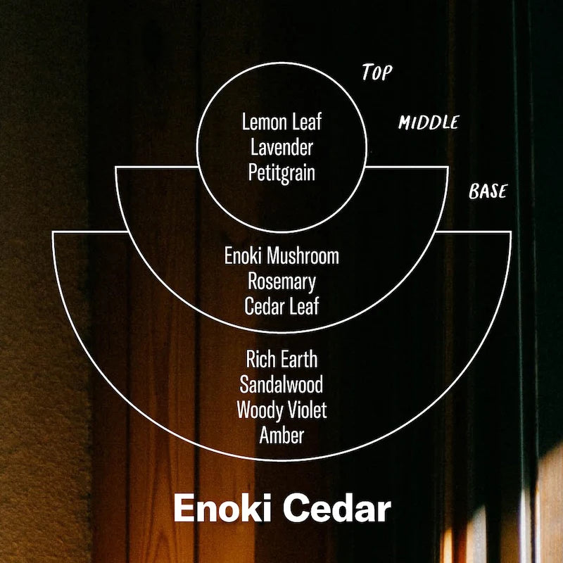 Enoki Cedar – 7.2 oz Soy Candle