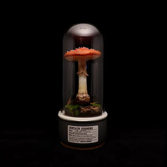 Handcrafted Sculptuarl Mushroom Lamp - AMANITA MUSCARIA