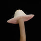 Handcrafted Sculptuarl Mushroom Lamp - VOLVARIELLA GLOIOCEPHALA