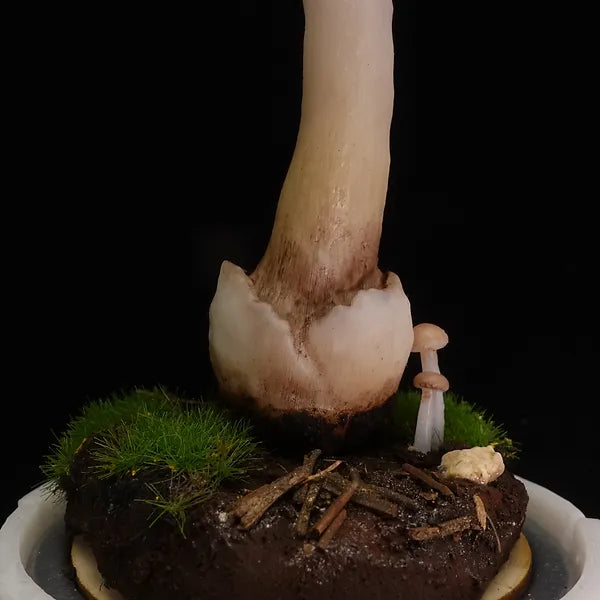 Handcrafted Sculptuarl Mushroom Lamp - AMANITA VIROSA