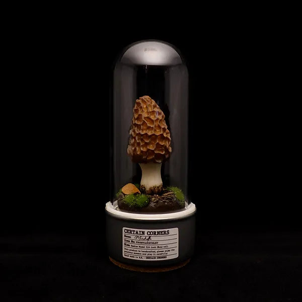Handcrafted Sculptuarl Mushroom Lamp - MORCELLA