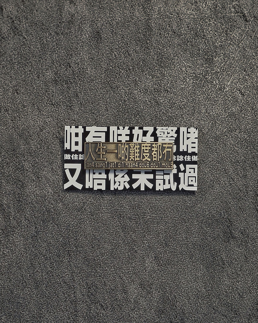 人生一啲難度都冇 襟章